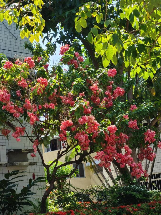 Apartamento Parque Jatiuca Lägenhet Maceió Exteriör bild